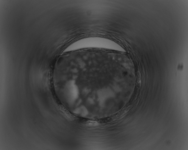X0000091530519200708311313