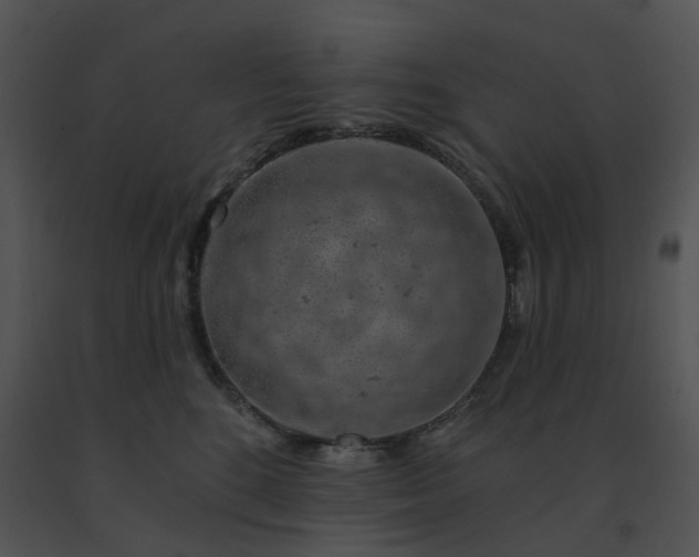 X0000091530520200708311313