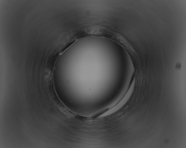 X0000091530521200708311313