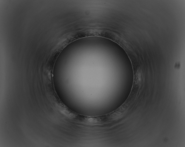 X0000091530522200708311313