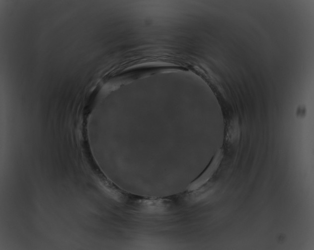 X0000091530524200708311313