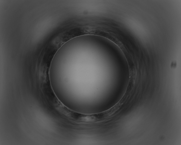 X0000091530525200708311313