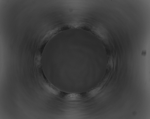 X0000091530526200708311313