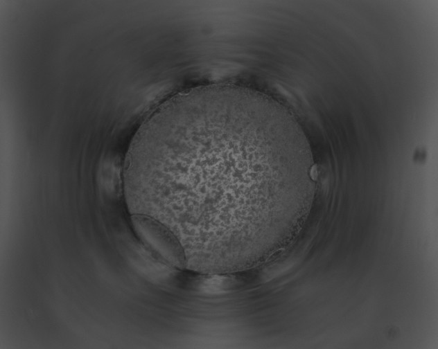 X0000091530527200708311313