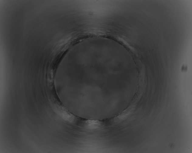 X0000091530528200708311313