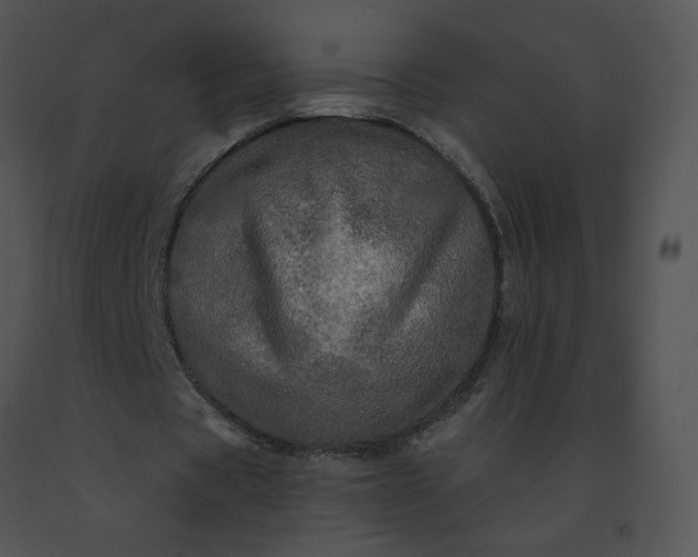 X0000091530529200708311313
