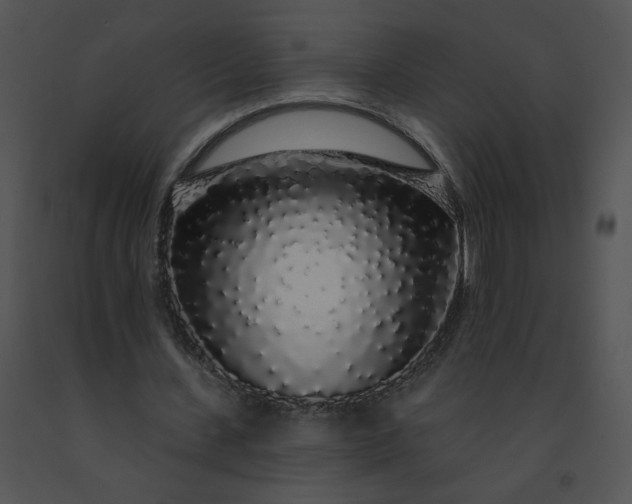 X0000091530531200708311313