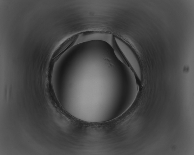 X0000091530532200708311313