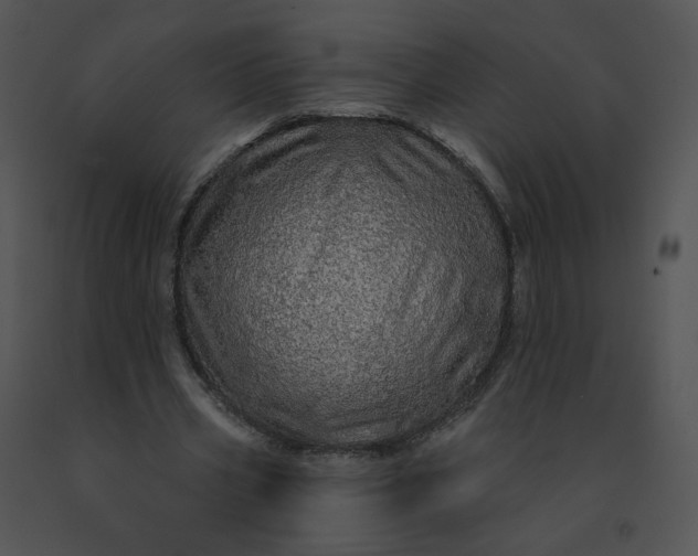 X0000091530533200708311313