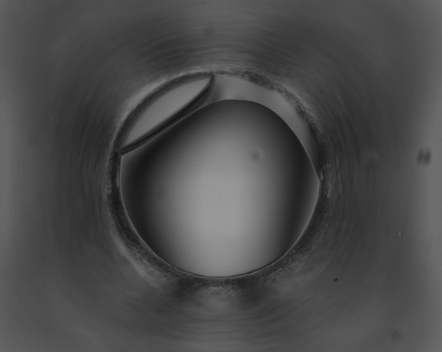 X0000091530536200708311313