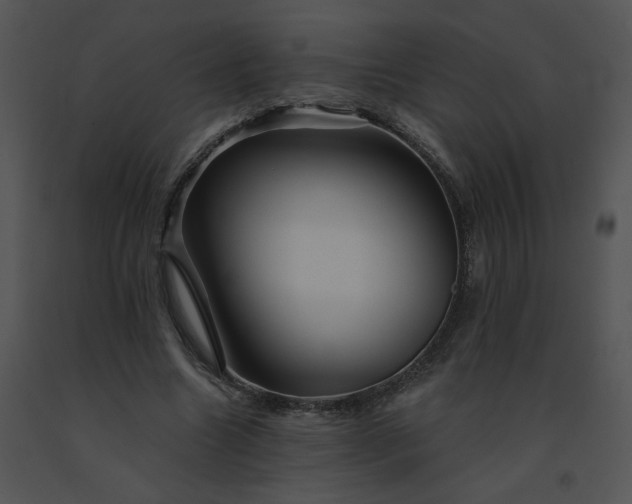 X0000091530538200708311313