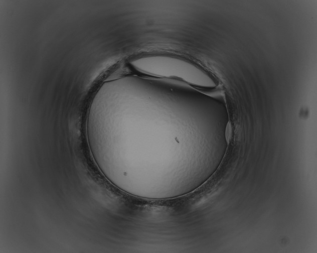 X0000091530539200708311313