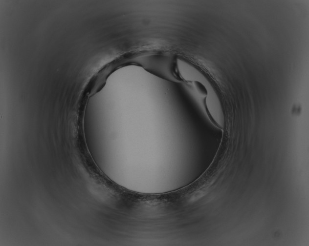 X0000091530540200708311313