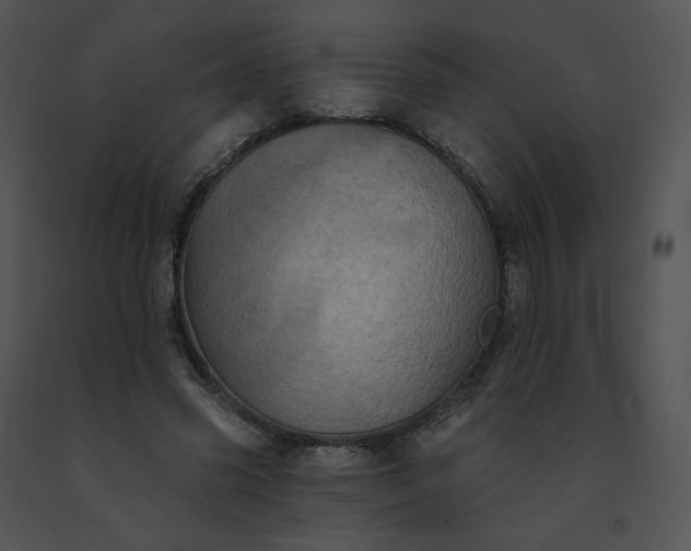 X0000091530541200708311313
