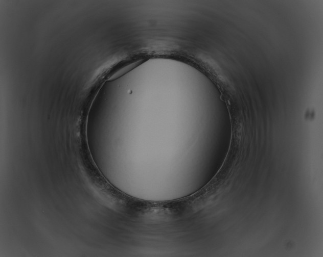 X0000091530543200708311313