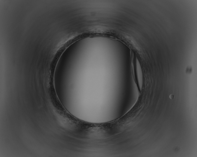 X0000091530544200708311313