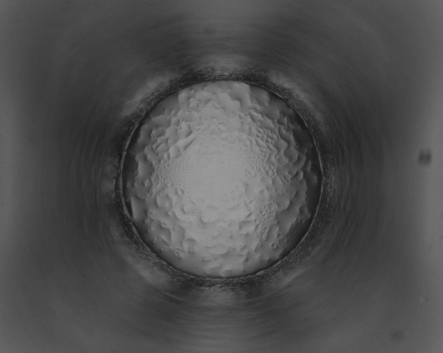 X0000091530545200708311313