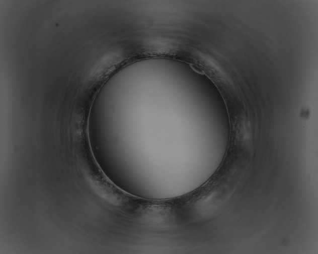 X0000091530546200708311313