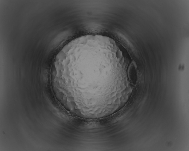 X0000091530549200708311313