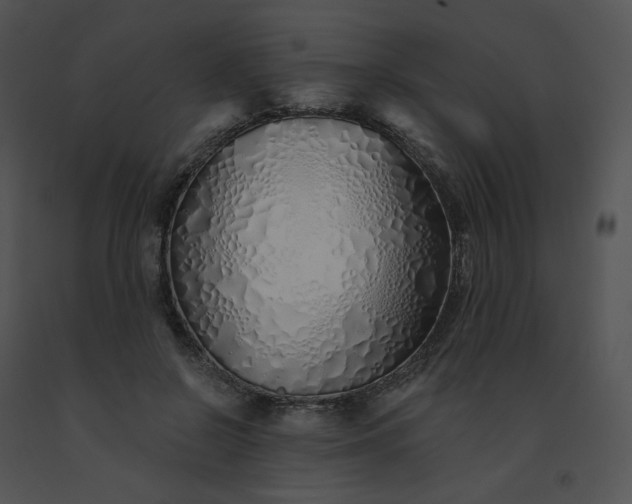X0000091530550200708311313