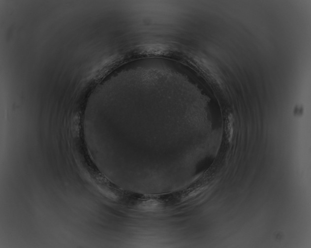 X0000091530551200708311313