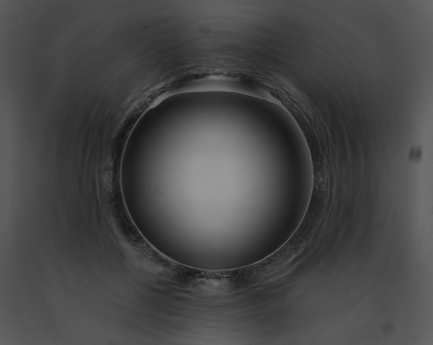 X0000091530552200708311313