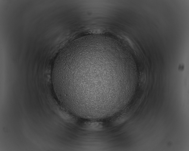 X0000091530553200708311313