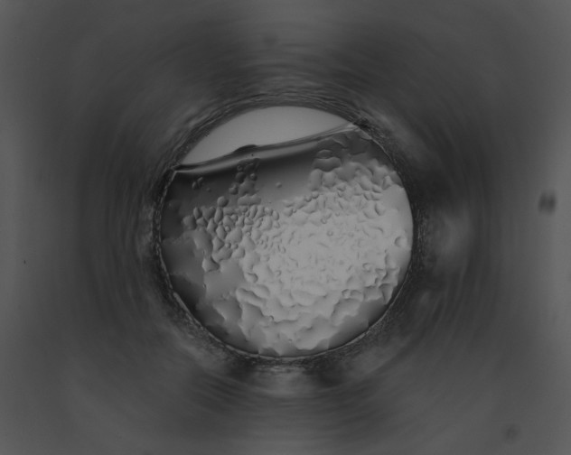 X0000091530554200708311313
