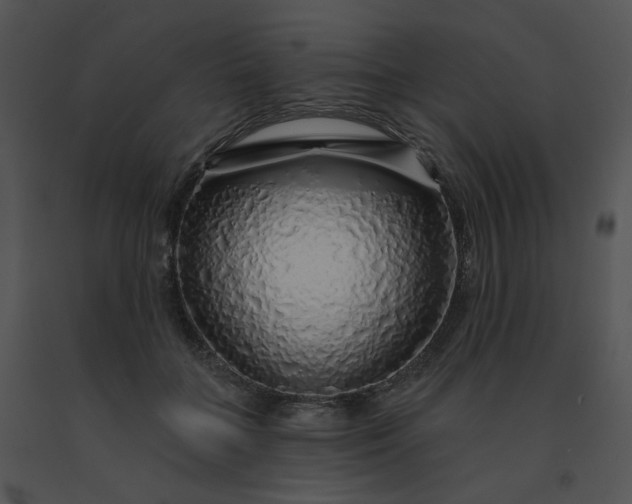 X0000091530555200708311313