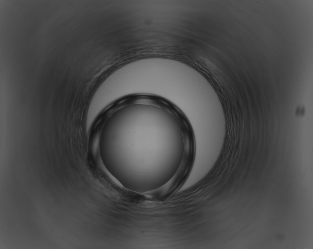X0000091530556200708311313