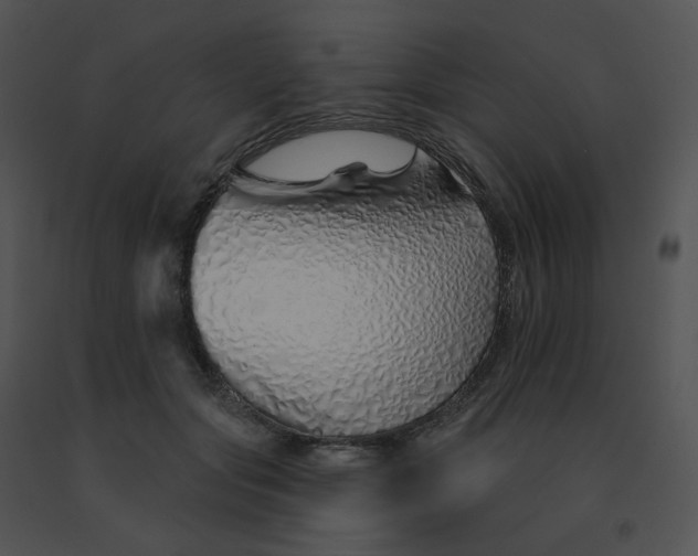X0000091530557200708311313