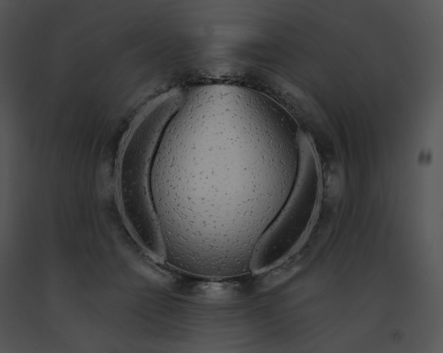 X0000091530558200708311313