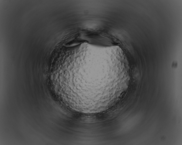 X0000091530559200708311313