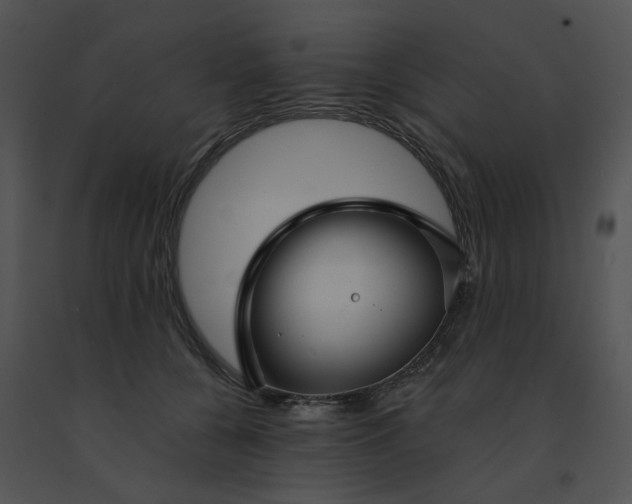 X0000091530560200708311313