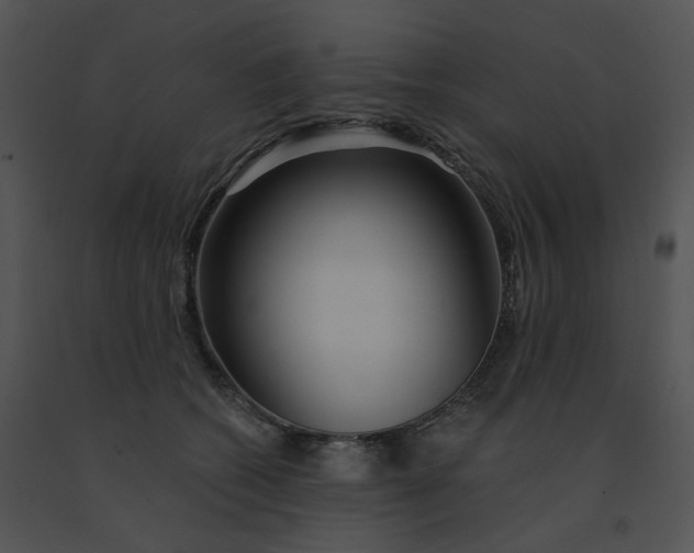 X0000091530562200708311313