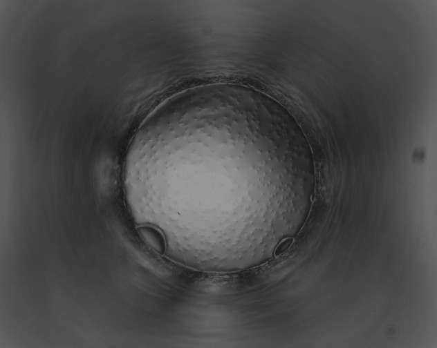 X0000091530563200708311313