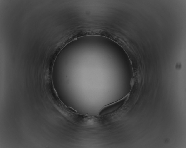 X0000091530564200708311313