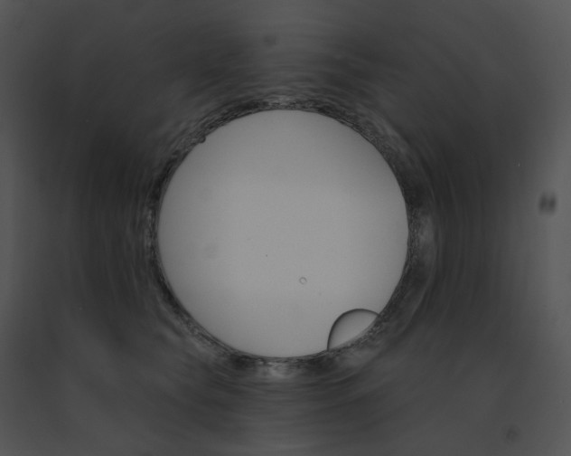 X0000091530565200708311313