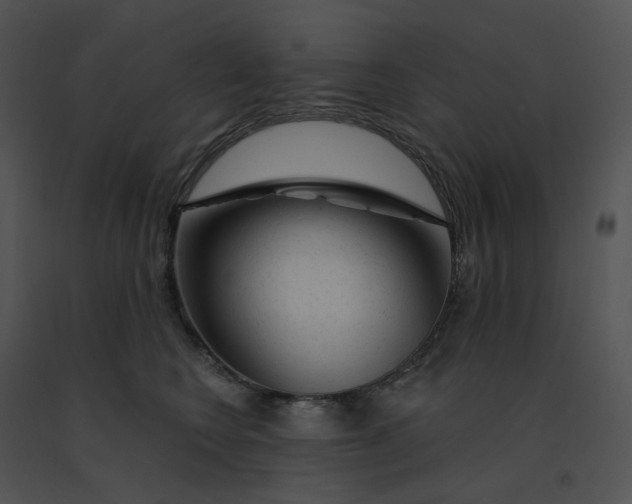 X0000091530566200708311313