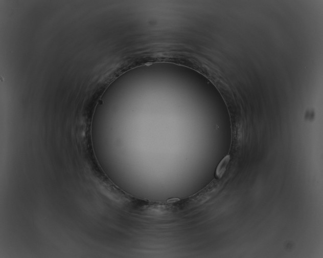 X0000091530567200708311313