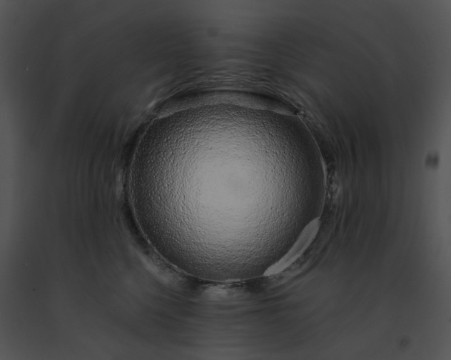 X0000091530568200708311313