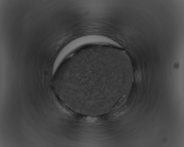 X0000091530570200708311313