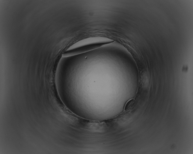 X0000091530571200708311313