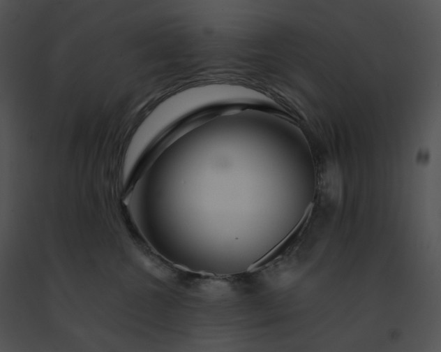 X0000091530572200708311313