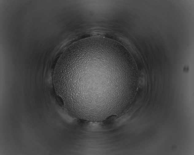 X0000091530573200708311313