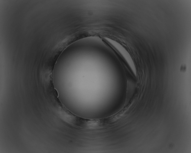 X0000091530574200708311313