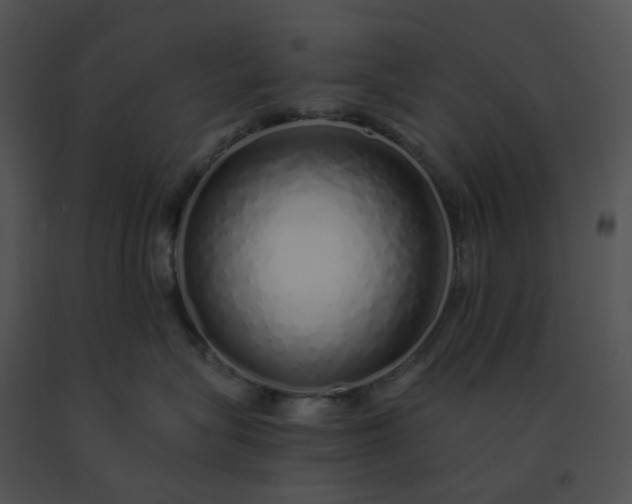 X0000091530575200708311313