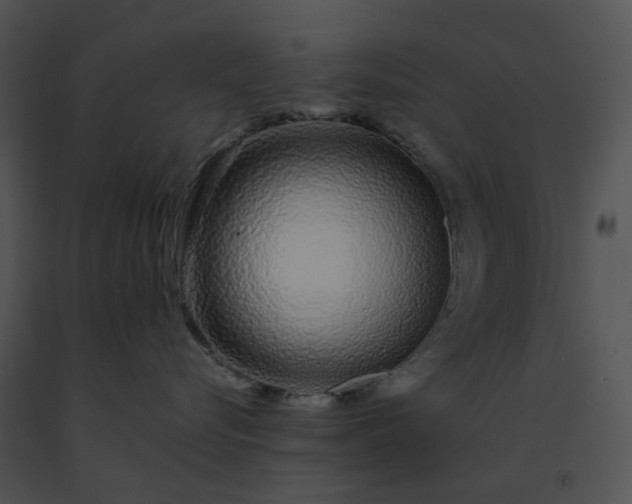 X0000091530576200708311313