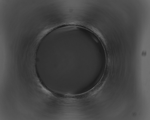 X0000091530577200708311313