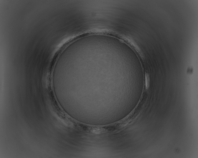 X0000091530579200708311313